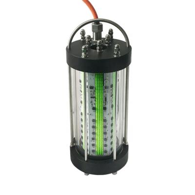 China Fish Attracting Factory Wholesale 110V USA LED 1000W Standard Fishing Light for sale