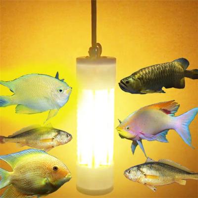 China Fish Attracting Fishing Boats Small Green White Light 200W 500W Undertwater Lights for sale