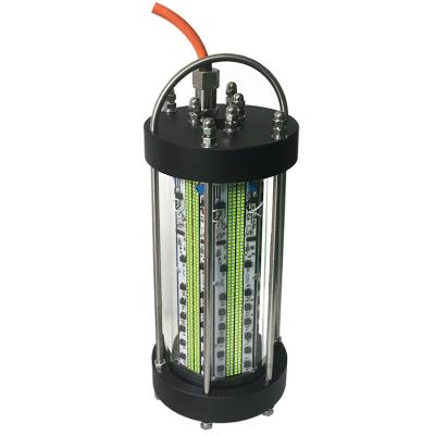 China Fish Attracting Aquarium Adjustable Brightness LED Underwater Fishing Submersible Light for sale