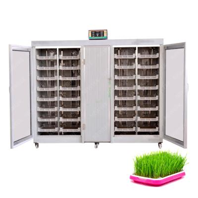 China Hydroponic Sprout Fodder Farms NEWEEK 500kg/day Grass Growing System For Cattle for sale