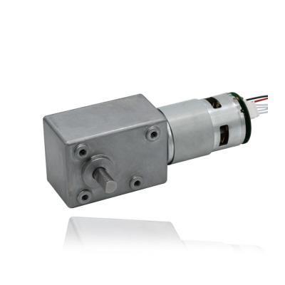 China Gang-Bewegungsschwanzloser DC-Motor des Wurm-12V mit dem 5882 Wurm-Getriebe zu verkaufen