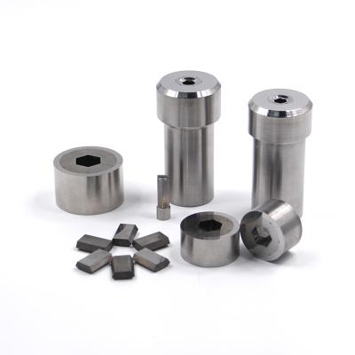 China Professional Customized Punch Die Carbide Segmented Dies for sale