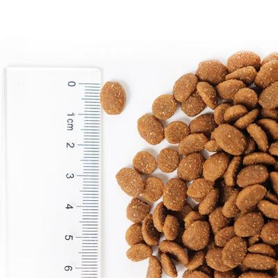 China Sustainable Grain Free Dry Cat Food with Fresh Chicken Dry Food for Dogs and Cats for sale