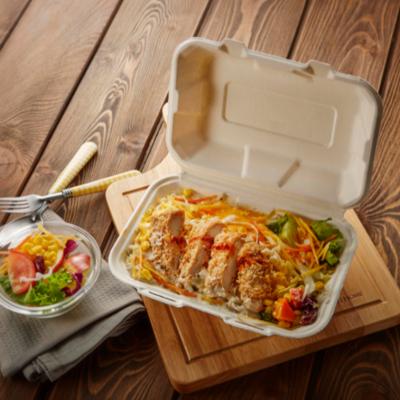 China Disposable 100% Biodegradable Eco-friendly 8inch Burger Boxes Food Container Tableware Sugarcane Bagasse Takeout Boxes for sale