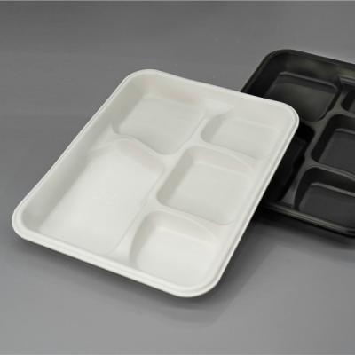 China Disposable 5 Compartment Microwave Part Eco-friendly Thermoforming Disposable Student Tray for sale