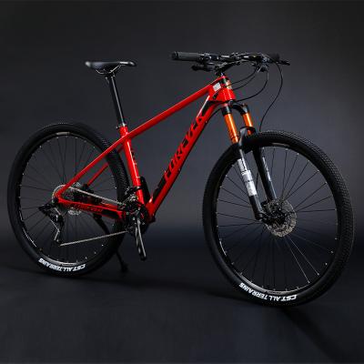 China High quality carbon fiber mtb bike 29 inch 30 speed bicicleta sport FOREVER racing bicycle hardtail double suspension mountain bike for sale