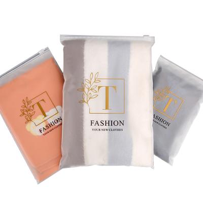 China Hot Selling Luxury Custom Recyclable Printed Ziplock Ziplock Bags Apparel Frosted Zipper Bag for sale