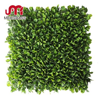 China Durable Plants Decorative High Density Artificial Green Carpet Wall Artificial Wall Covering for sale