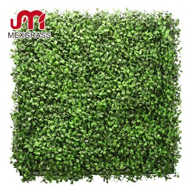 China Durable 4 Layers Boxwood Panels Anti-UV Artificial Green Decorative Wall Panels Factory Plastic Wall for sale