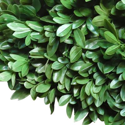 China Durable High Quality Artificial Grass Plastic Wall Plant Wall Home Decor Design for sale