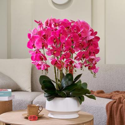 China Real Touch Artificial Flowers China Environmental Protection Artificial Butterfly Orchids Wholesale Green Artificial Flowers Decoration With Pot for sale