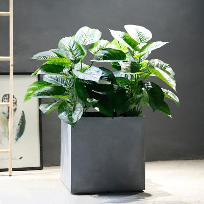 China Contemporary Cheap Plastic Artificial Trees With In Cement 43x43x43 Pot Devil's Ivy Plant for sale