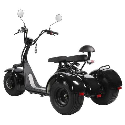 China Unisex Fat Tire 3 Wheels Electric Mobility Tricycle Scooter With Carry Basket 60V 1000W Motorized Electric Motorcycle For Adults for sale