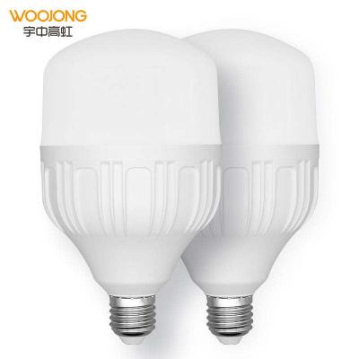 China Intdoor/Outdoor/Warehouse WOOJONG No Radiation 20W 30W 40W 50W T Shape Light Bulb Aluminum Plastic Lamp for sale