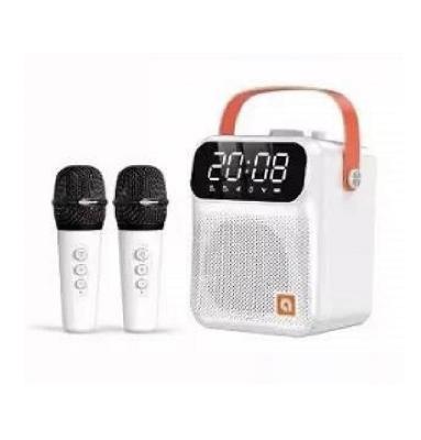 China Wireless Microphone Speaker Set Outdoor Living Home KTV Broadcast Wireless Microphone Mic For Portable Wireless Microphone Audio Video Recording for sale