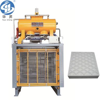 China Polystyrene Waffle Pod Slab Making Machinery for Australian Market Customized Options for sale