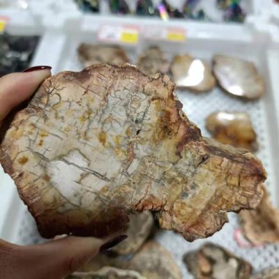 China China wholesale high quality soft natural raw rough woodstone chunk fossil slice stone for sale for sale