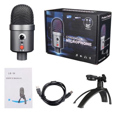 China USB RGB USB Microphone 2 Microphone Capsule Condenser Microphone Microphone for Game Live Stream and Record for sale