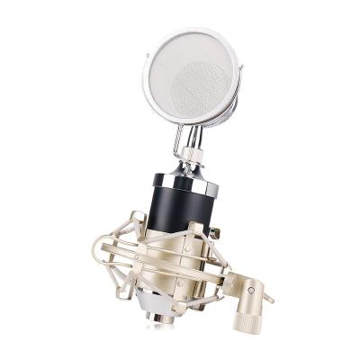 China WESTON Mic Condenser Microphone Pro Audio Handheld Studio Microphone for sale