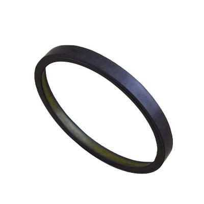 China MAGNETIC SENSOR ABS RING ABS Auto Parts ABS Rubber Seal Rings Manufacturer ABS SENSOR RING for sale