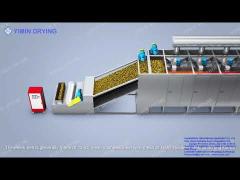 DW Series continous Belt Dryer for vegetable fruit or herbal