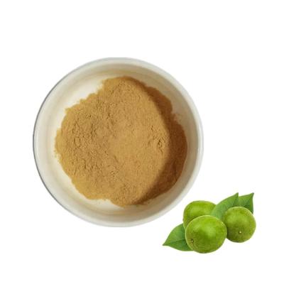 China Wholesale organic monk fruit extract powder 100% pure monk fruit sweetener dietary supplement luo Han Guo extract for sale