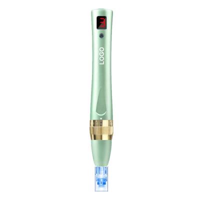 China ELON-YC Anti-Puffiness OEM Nano Derma Pen Skin Infusion Machine Needle Mesotherapy Teasing Face Massager Professional Derma Filler Derma Pen for sale