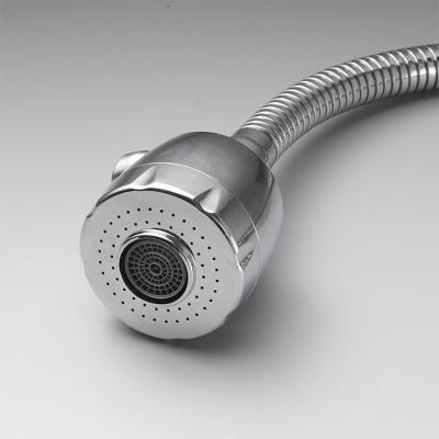 China Modern New Product Sale Pass 304 Kitchen Shower Head Bathroom Sanitary Ware And Accessories High Pressure Chrome Shower Head With Hose for sale