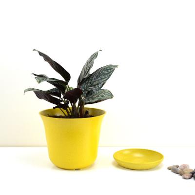 China Eco-friendly indoor biodegradable bamboo fiber small flower potted plant plastic pot for sale