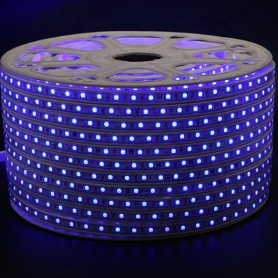 China Theme Park 220v 3528 5050 Led Strip And Accessory Factory Price for sale