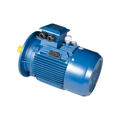 China YE2 Totally Enclosed 200 Series Low Voltage Electric Motors AC Motor for sale