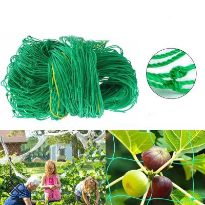 China High Strength Climbing Shed Net Melon Bean Frame Climbing Frame Passionflower Passion Flower Hanging Agricultural Rattan for Plant Vegetable Planting for sale