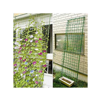 China High Strength Low Price Plant Support Net Plant Protection Net Plant Protection Net Bitter Growing Beans Cucumber Passion Fruit Bitter Net for sale