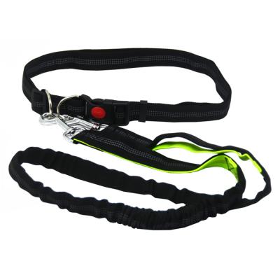 China Personalized Pet Accessories Mountaineering Reflective Rope Nylon Dog Leash For Pets, Support Customized Led Dog Collar for sale