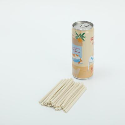 China Nature 100% Eco-Friendly Green Biodegradable Rice Free PLA Straw For Drinking Juice Biodegradable for sale