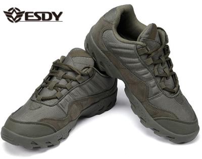 China ESDY Boots Man Boot Shoes Rubber Outdoor Black Military Tactical Hike Shoes for sale