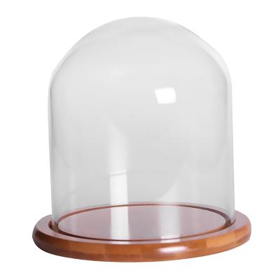 China Glass dome with wood base Clear Glass Dome with Wood Base for Preserved Flower Display for sale