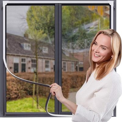 China DIY Modern Magnetic Insect Fly Screen For Window Curtain Screen for sale