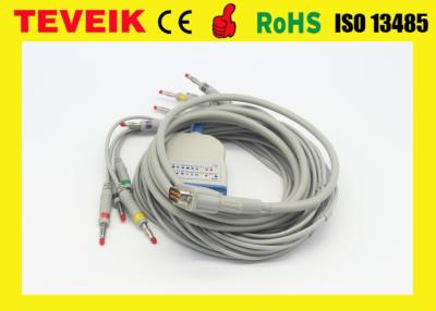 중국 Banana4.0 IEC 기준을 가진 호환성 HP M1770A 10 지도 ECG/EKG 케이블 그리고 도선 판매용