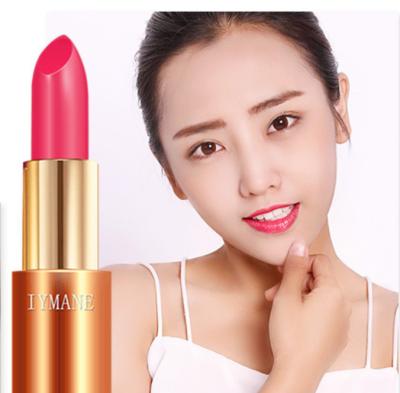 China Wholesale Waterproof No Shimmer Waterproof High Quality Vegan Logo Lip Gloss Lip Gloss for sale