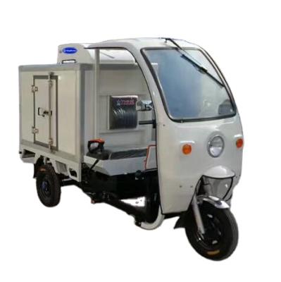 China Electric vehicle integrated dc48/72v electric short-distance transport electric vehicles refrigerated electric tricycle for sale