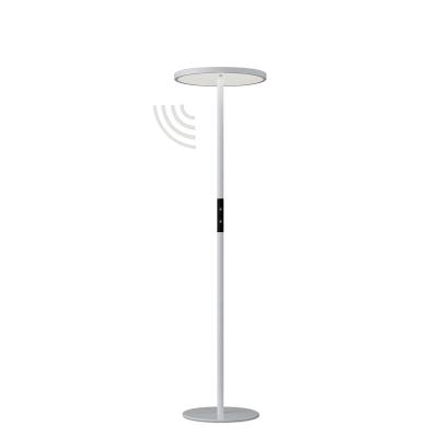 China Minimalist Top Sale LED Floor Lamp For Office Damien E802 Modem Floor Lamp for sale