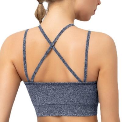 China Moisture Wicking Breathable Wholesale Fashion Pure Color Sports Seamless Fitness Underwear Sports Bra for sale