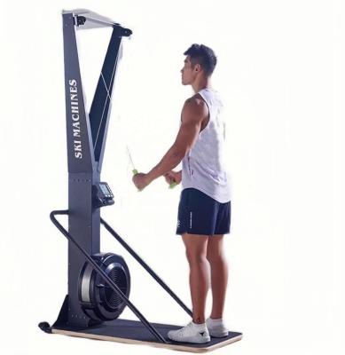 China Home Gym Cardio Home Use Special Design Indoor Fitness Equipment Ski Training Machine for sale