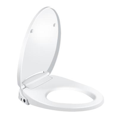 China Electronic Hot Sale Oval Bidet Seat Cover Smart Flushable One Piece Toilet Seat Bidet for sale