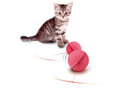 China 2.5 Inch Red Interactive Cat Toys Teaser , Plastic Automatic Cat Bouncy Ball for sale