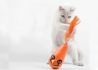 China El reemplazo empluma forma preciosa del juguete del gato del giro excéntrico en modelo imprevisible del juego en venta