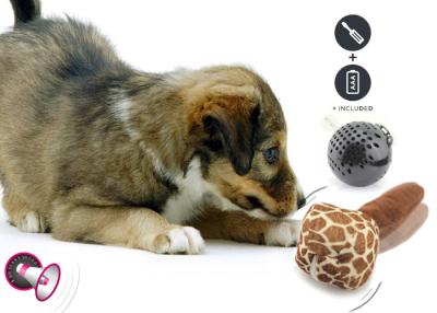 China Eco Friendly Plastic Dog Toys , Interactive Durable Dog Balls For Training for sale