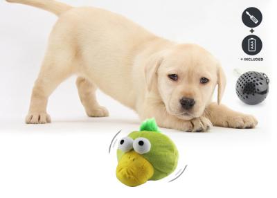 Cina Multi colori di scortecciamento delle palle di plastica a pile del cane per interazione in vendita