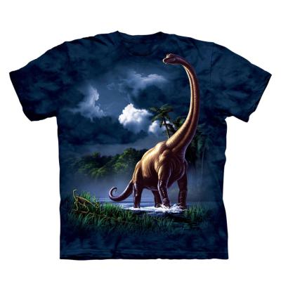 China Breathable Wholesale 3D Printing Summer Short Sleeve Custom T-shirt Kids Boy T-shirt for sale